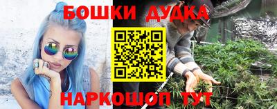 гидропоника Краснокаменск