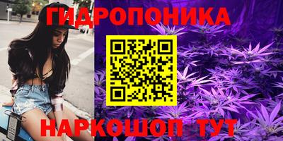 mdpv Краснознаменск