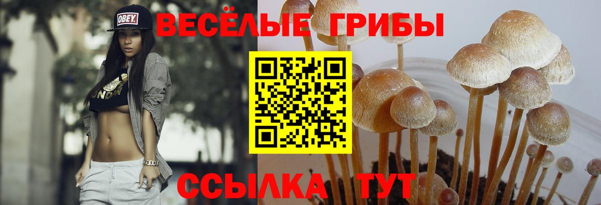 Псилоцибиновые грибы GOLDEN TEACHER  Вход с VPN  Ишимбай 
